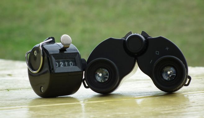 バードウォッチングにおすすめなもの