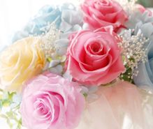 プリザーブドフラワーの趣味