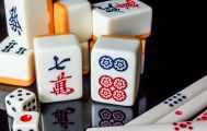 麻雀の趣味