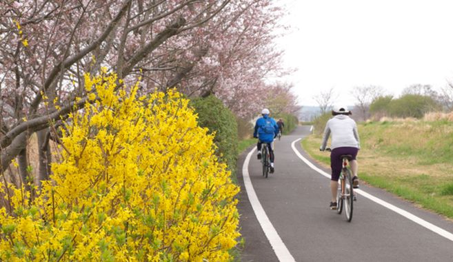 ロードバイクの最後に
