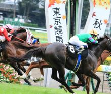 競馬の趣味