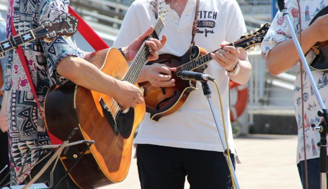 フラットマンドリン