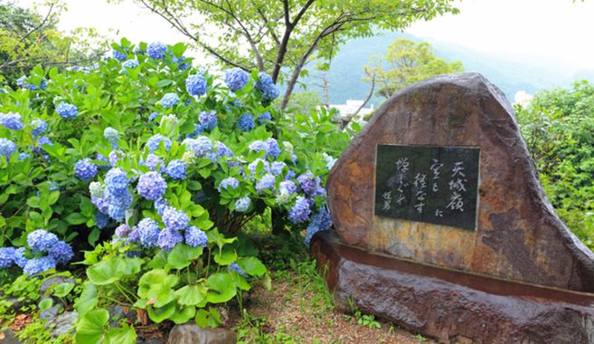詩は難しい？