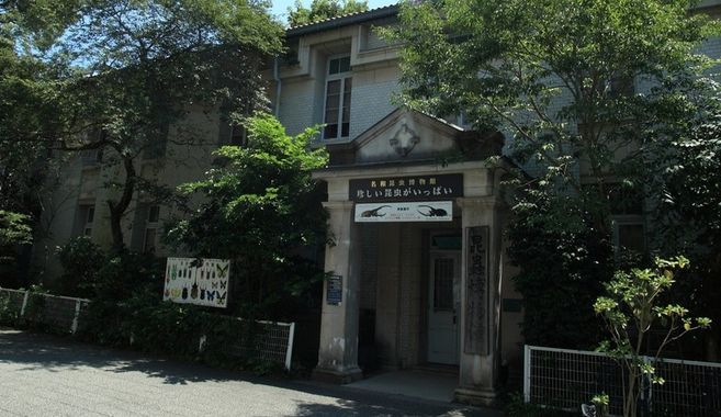 名和昆虫館