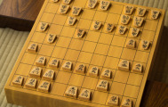 将棋の趣味