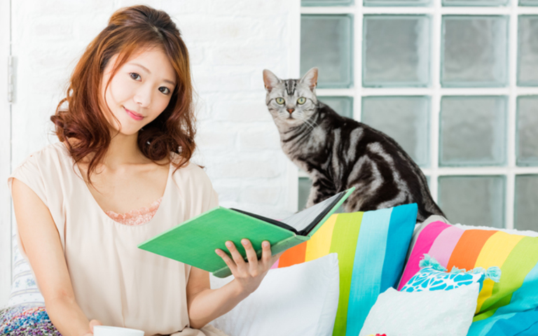 ネコ飼育