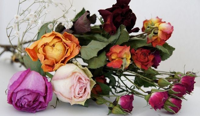 ドライフラワー