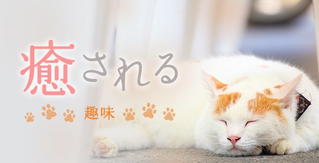 癒される趣味