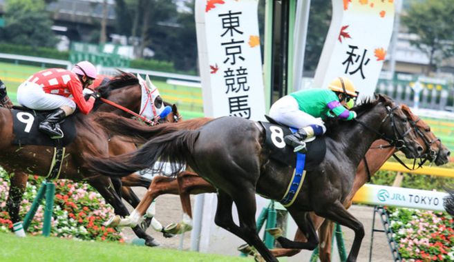 競馬