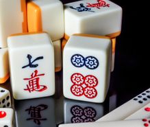 麻雀の趣味