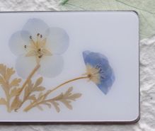 押し花の趣味