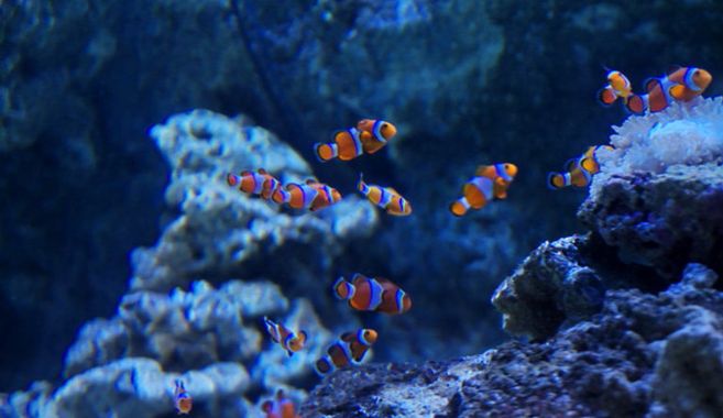 リラクゼーションにおススメ☆