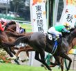 競馬の趣味