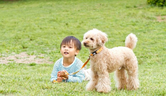 犬と男の子