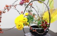 生け花の趣味