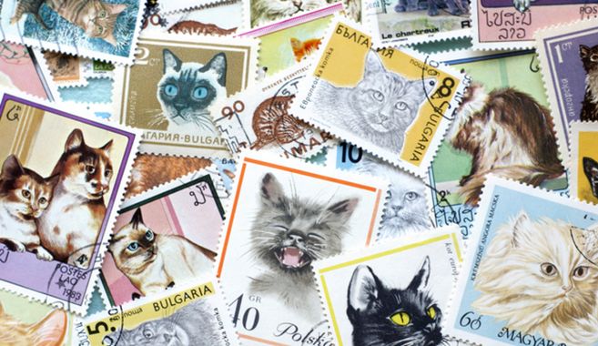 猫の切手