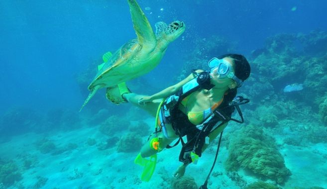 スキューバダイビングに出会って