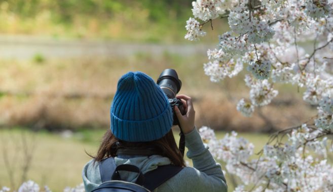 写真を撮りたい