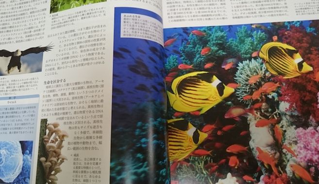 図鑑を楽しもう