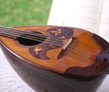 マンドリンの趣味