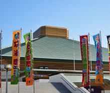 相撲観戦の趣味