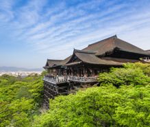 京都寺社めぐりの趣味