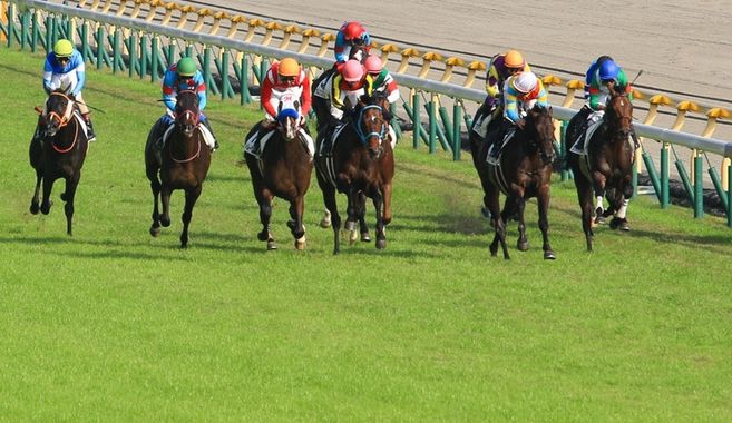 競馬