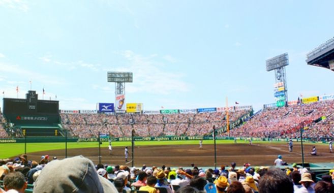 プロ野球観戦のはじめ方