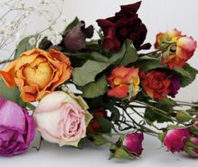 ドライフラワーの趣味