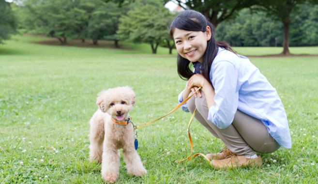 犬飼育まとめ