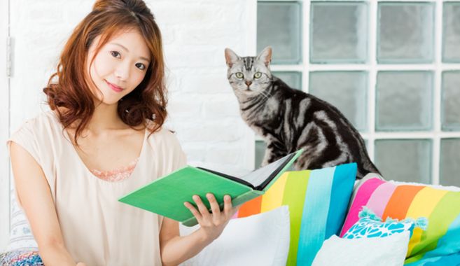 ネコ飼育