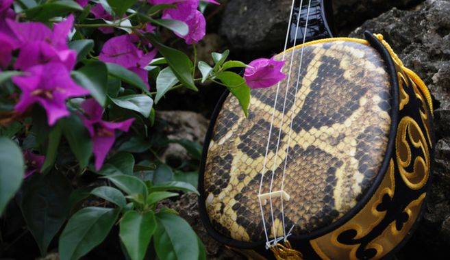 三線のはじめ方