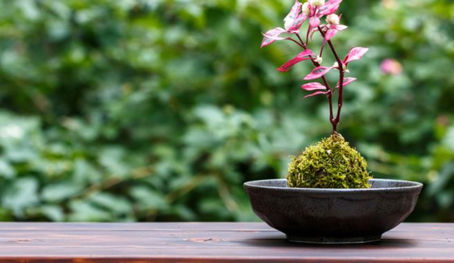 60代から始める有益な趣味５選