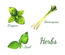 ボタニカルアートの趣味