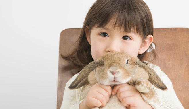 うさぎ飼育まとめ