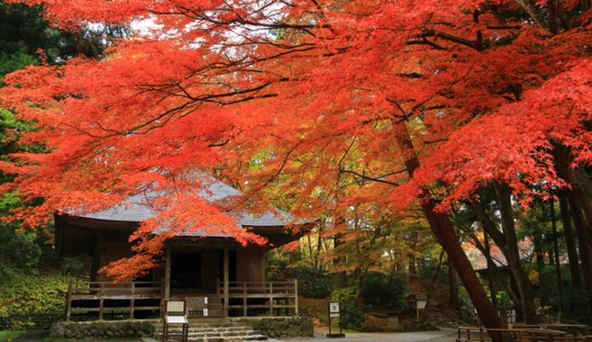 中尊寺